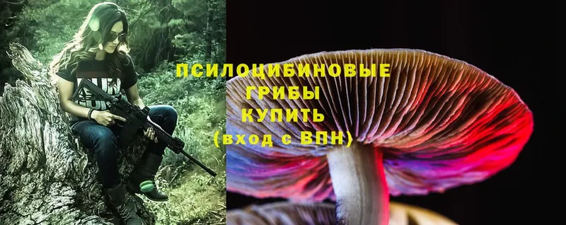 Галлюциногенные грибы MAGIC MUSHROOMS  купить наркотик  Балабаново 